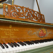 1889 Artcase Steinway. One-of-a-Kind masterpiece - Grand Pianos